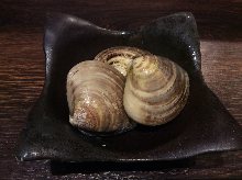 Grilled live common orient clams
