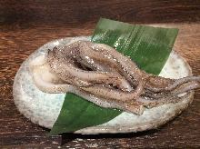 Stir-fried squid tentacles