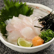 Japanese pufferfish