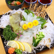 Live thread-sail filefish sashimi