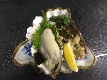 Raw oyster