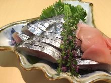 Salted mackerel sushi