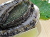 Abalone