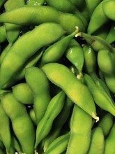 Edamame beans