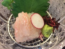 Sashimi