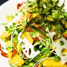 Other Japanese-style Salad