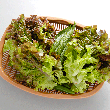 Chisha lettuce with miso