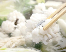 Pike conger hotpot