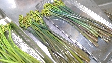 Natural Red Bracken-Warabi Mochi