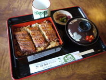 Eel served over rice in a lacquered box