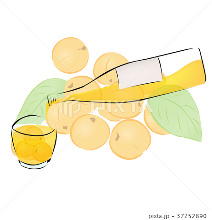 Apricot Liqueur