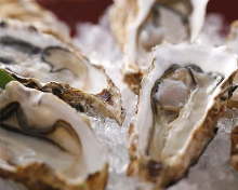 Raw oyster