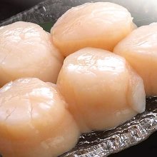 Scallops