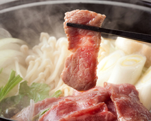 Horse hotpot