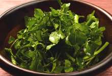 Watercress salad