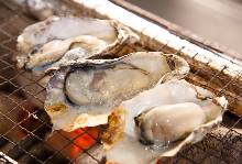 Grilled oysters