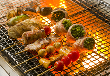 Assorted grilled skewers