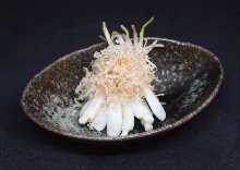 Okinawan rakkyo pickled in salt