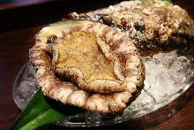 Abalone steak / grilled abalone