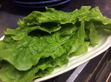 Sangchu (Korean stem lettuce)