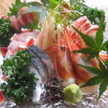 Assorted sashimi, 7 kinds