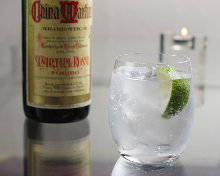 Gin and Tonic