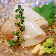 Squid sashimi