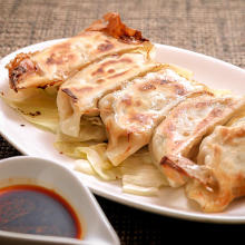 Gyoza