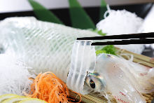 Live spear squid sashimi