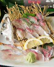 Live horse mackerel sashimi