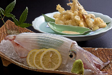 Live spear squid sashimi