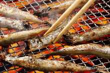 Grilled shishamo smelt