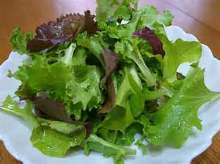 Green salad