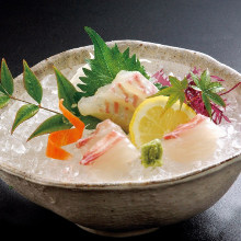 Sashimi