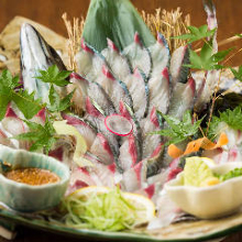 Live mackerel sashimi