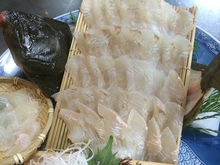 Live olive flounder sashimi