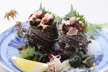 Horned turban sashimi