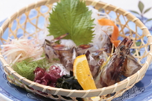 Live Japanese tiger prawn sashimi