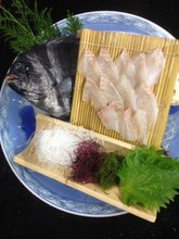 Sashimi