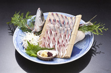 Live mackerel sashimi