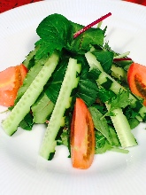 Vegetable salad