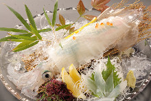 Live spear squid sashimi