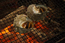 Grilled turban shell