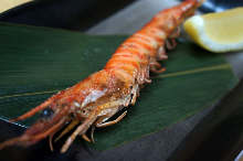 Salted and grilled Japanese tiger prawn