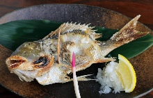 Grilled fish