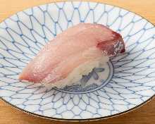 Buri(yellowtail)