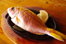 Grilled fish