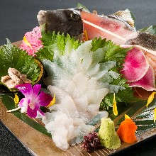 Live thread-sail filefish sashimi