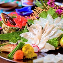 Live conger eel sashimi