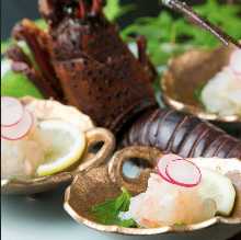 Live spiny lobster sashimi